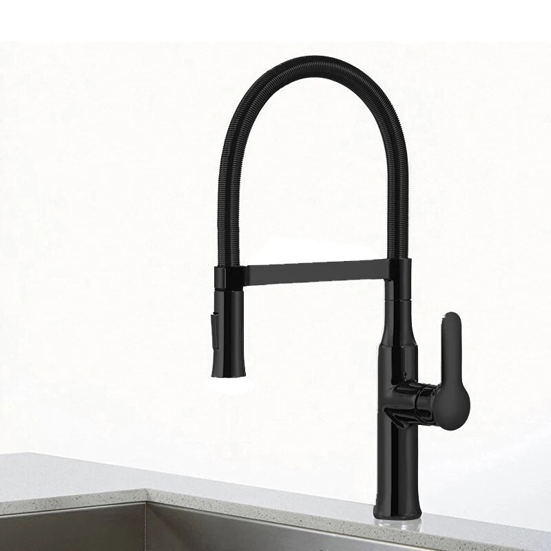 Robinet Cuisine Douchette Monotrou