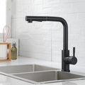 Douchette Robinet Cuisine Noir