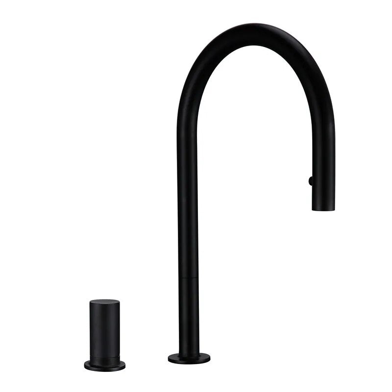 Douchette Robinet Cuisine Extensible