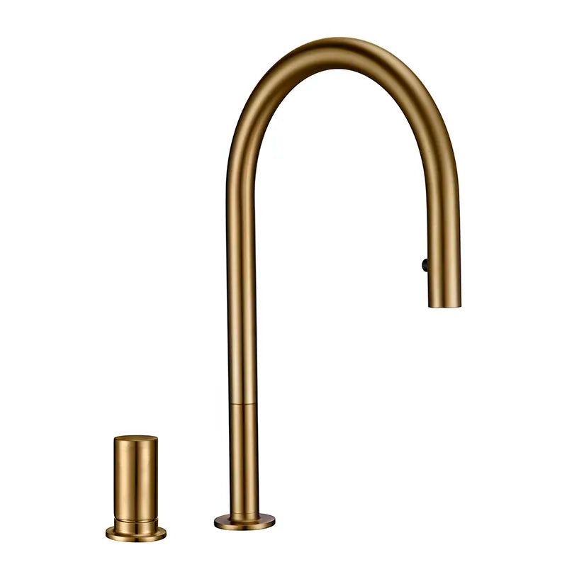 Douchette Robinet Cuisine Extensible