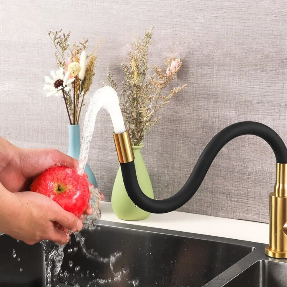 Robinet Mitigeur de Cuisine Avec Douchette