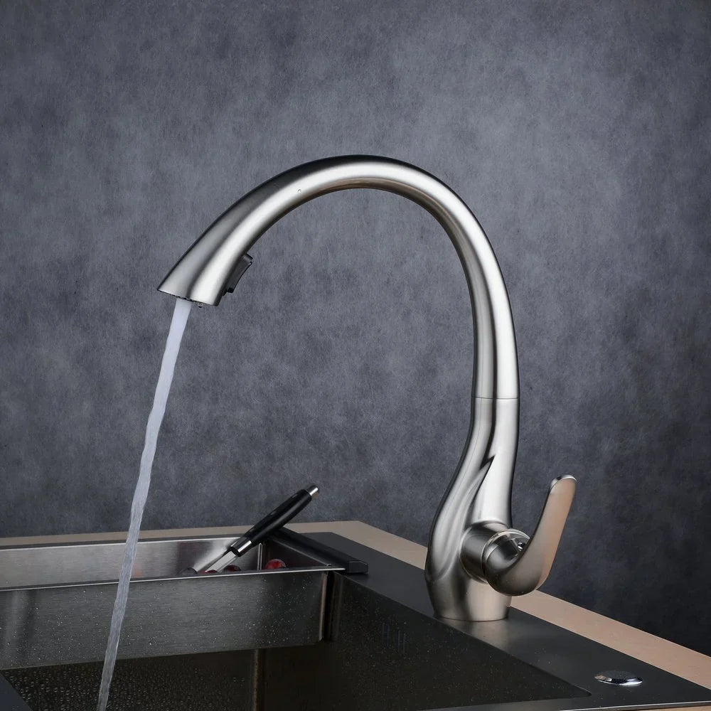Robinet de Cuisine Douchette Extractible en Inox
