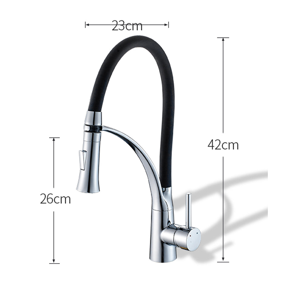 Robinet de Cuisine Douchette Flexible
