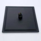Tete De Douche Murale