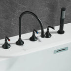 Robinet Salle De Bain Col De Cygne Avec Douchette