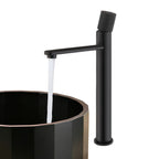 Robinet Lavabo Industriel
