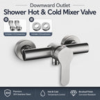 Mitigeur Douche Inox