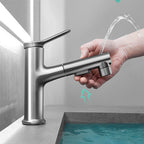 Robinet Avec Douchette Pour Lavabo