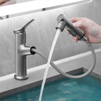 Robinet Avec Douchette Pour Lavabo
