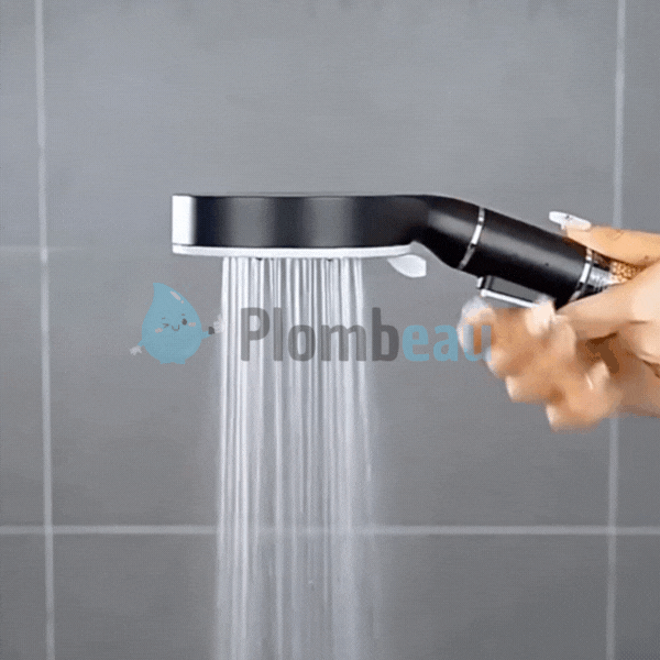 Pommeau de Douche Anti Calcaire Noir