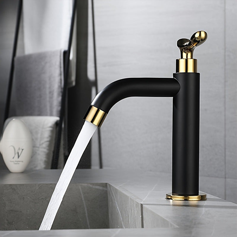 Mitigeur Salle de Bain Luxe Noir ROBINETI
