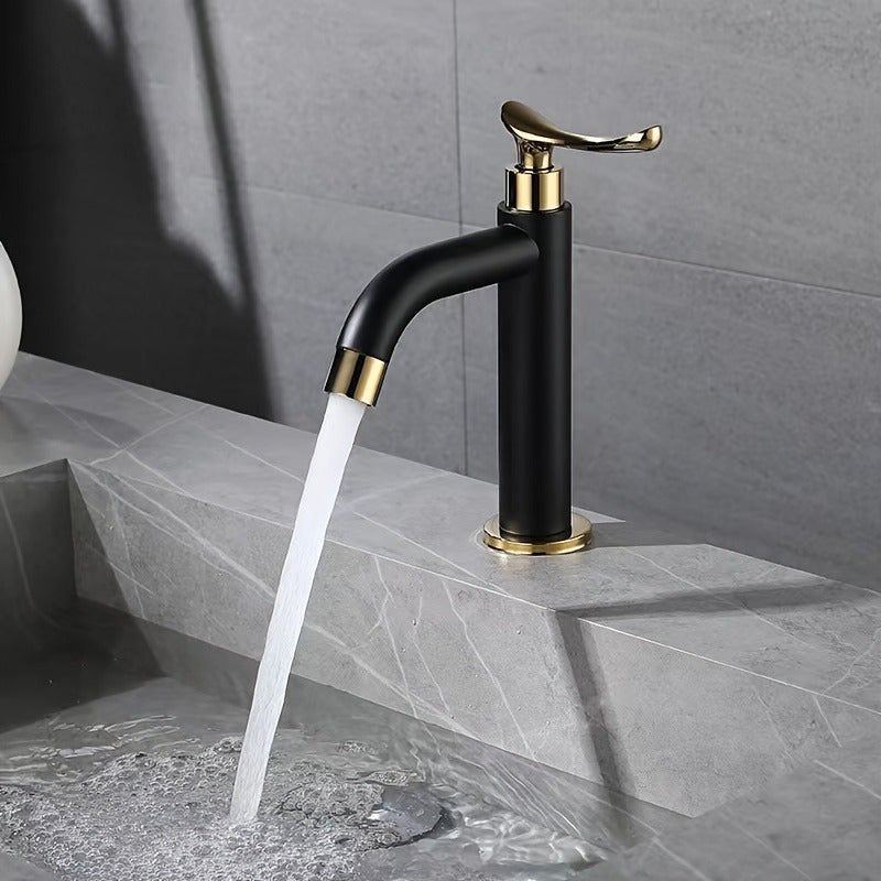 Mitigeur Salle de Bain Luxe Noir ROBINETI